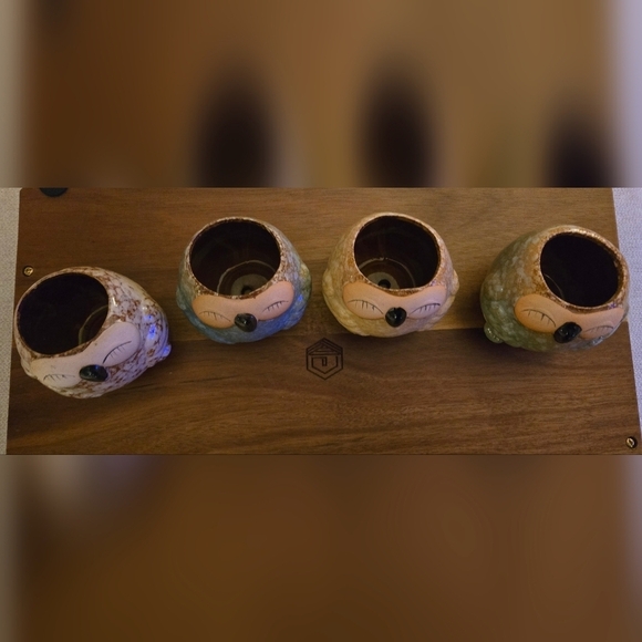 NWOT | Adorable Ceramic Owl Succulent Planter Pots | Set Of 4 | Drainage Holes - Picture 16 of 16